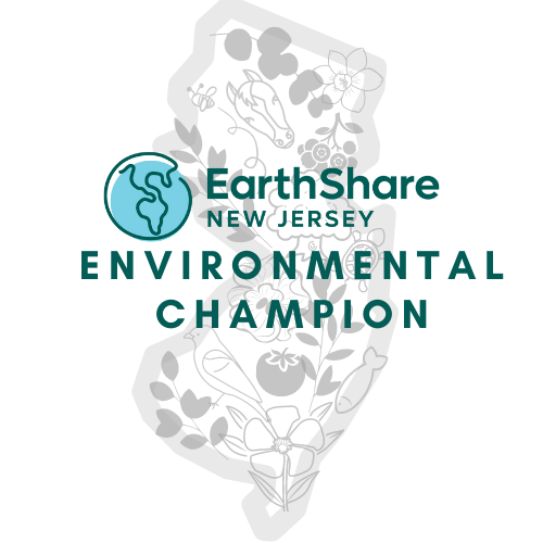 Environmental Champions Environmental Education Volunteerism And Philanthropy 9109